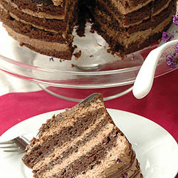 Chocolate Tiramisu Cake