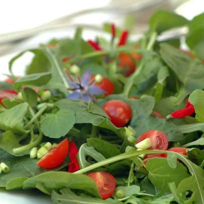 Fresh Green Salad with Tuscan Vinaigrette