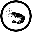 Prawn