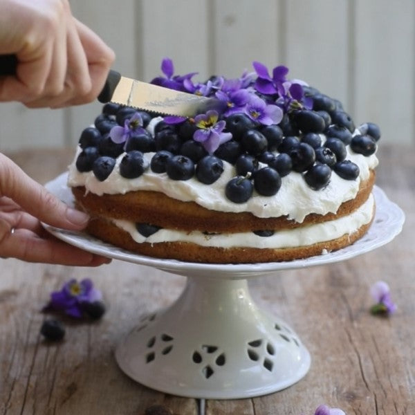 Blueberry Cream Cake