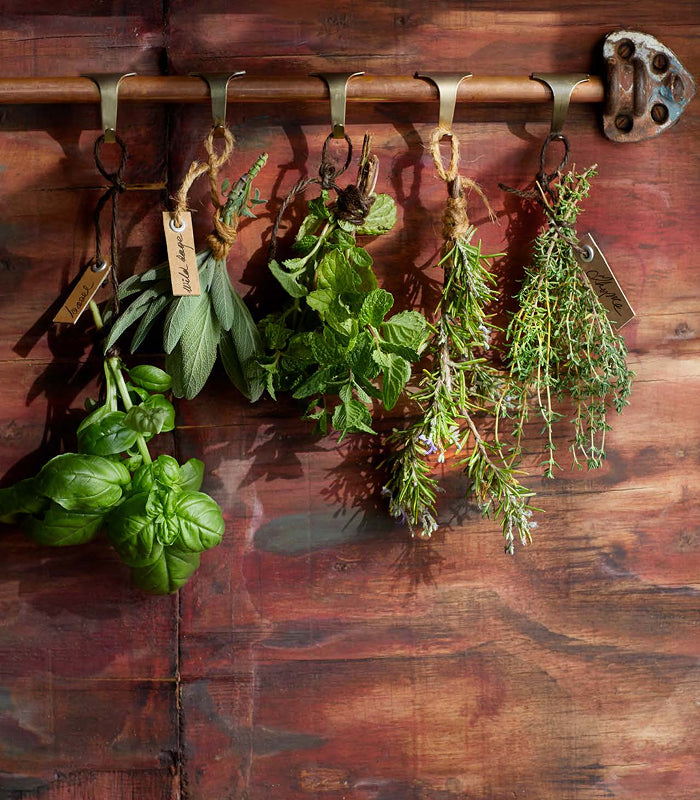 Flavourful Cooking Tips for Beginners