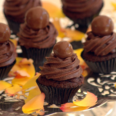 Malted Chocolate Mini Cupcakes