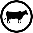 Beef